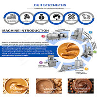 Hete Verkoop Volautomatische Industriële 200Kg-300Kg Shea Hazelnoot Sesampasta Tahin Pindakaas Maken Machine Productielijn