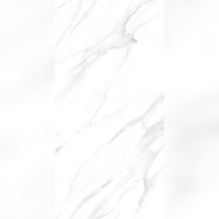 Revêtements de sol en porcelaine vitrifiée Paramount Luminous Finish 600x1200mm pour extérieur, salle de bain, couloir, antidérapants, résistants à l'usure, effet brique