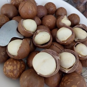 NOIX DE MACADAMIA DE HAUTE QUALITÉ COQUETÉES/NON COQUETÉES DU VIETNAM - TOP GRADE/NOURRITURE DE MACADAMIA POUR VOUS!! - Product Image 2