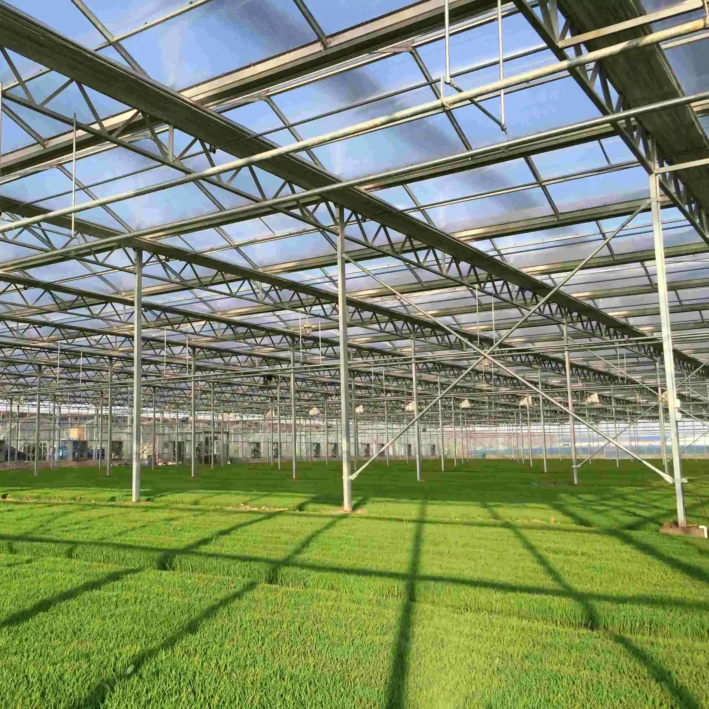 Photovoltaic Hybrid Multi-span Glass Agricultural Greenhouse Equipped Vertical Farming Equipment Hidroponic System