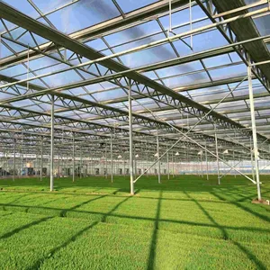 Système Hidroponique d'équipement agricole vertical équipé de serre agricole en verre multi-span hybride photovoltaïque