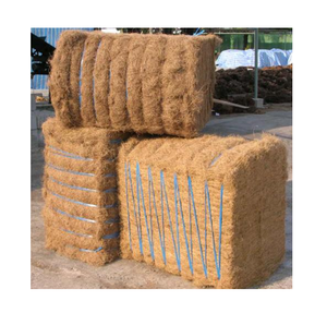 Yatak dolum dokuma ve tarım kullanımları için ideal ucuz fiyata toplu olarak yüksek kaliteli palmiye lifi - Product Image 2