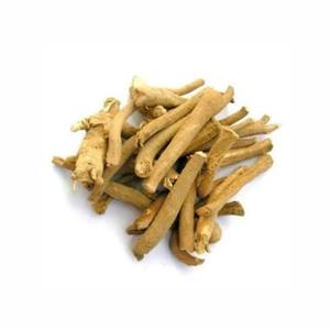 Ashwagandha biologique de haute qualité pour les compléments alimentaires, les nutraceutiques, les mélanges de thé et les applications cosmétiques, disponible à la vente - Product Image 4