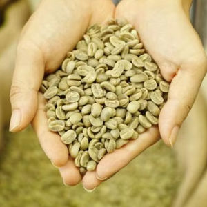 USDA Certified Organic Robusta Green Coffee <b>Beans</b> Size 18 100% Natural Premium Quality Vietnam Direct Exporter TNFOOD Brand AA+ - Product Image 1