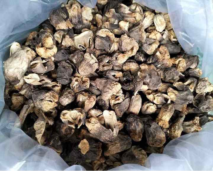 RICH in NUTRIRIENT DRIED STRAW MUSHROOM - High Quality Product From Vietnam - Agricultural Products Rich in Nutrients