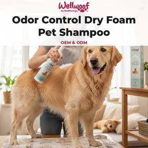 Shampoo pour animaux de compagnie OEM à la mousse sèche 150 mL avec contrôle des odeurs, RedMoringa d'Italie pour le toilettage des animaux - Product Image 2