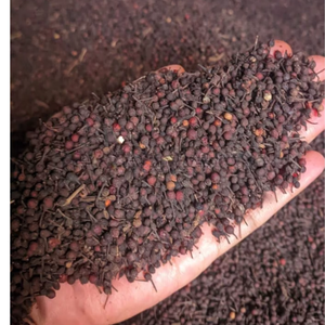 Poivre noir naturel de Madagascar de qualité supérieure, en vrac, VANILLE HARVEST, durée de conservation de 24 mois - Product Image 2