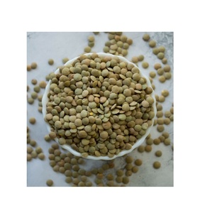 Lentilles séchées entières de qualité supérieure en vrac, lentilles rouges, lentilles vertes - Product Image 2
