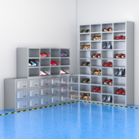 Armoire à chaussures moderne en acier inoxydable pour la maison, le salon, la chambre à coucher et l'entrée de l'appartement, boîte de rangement élégante