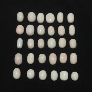 Corail blanc 100% corail blanc japonais naturel - Product Image 6