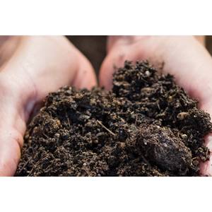 10 toneladas por hora de grano de cacao, harina de semilla de algodón, fertilizante orgánico, línea de producción de granulación, grado de origen brasileño - Product Image 6