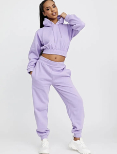 Conjunto de Sudadera con Capucha y Pantalones Deportivos de Felpa para Mujer, el Mejor para el Invierno, Personalizado, de 2 Piezas, Tela de Felpa, 100% Algodón, Chándal Bordado - Product Image 3