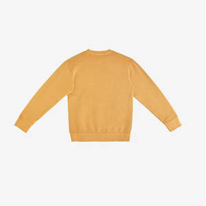 Sweatshirts pour hommes TACVASEN, col rond, doublure en polaire, hauts d'extérieur chauds et actifs pour l'hiver, sweatshirts à manches longues en sherpa - Product Image 5