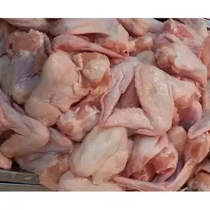 热销鸡翅清真批准冷冻鸡翅，胸肉，脚和爪子准备出口