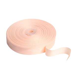 Scarpe da Danza Classica con Elastico in Tulle - Product Image 1