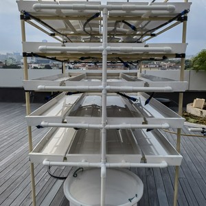 Sistema de producción de forraje hidropónico interior vertical personalizado Sistema de bandeja de forraje de trigo de maíz de cebada <span class=keywords><strong>para</strong></span> <span class=keywords><strong>ganado</strong></span> - Product Image 6