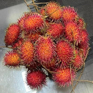 คุณภาพดีสำหรับการส่งออกผลไม้เงาะสดแคลอรี่ต่ำและ IQF เนื้อเงาะไม่มีเมล็ด - Product Image 5