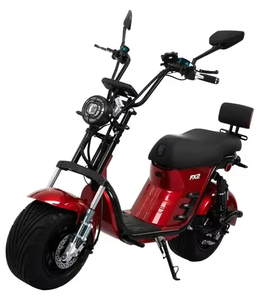 Vélo électrique Duos Fx2 1000w prêt à être expédié, autonomie de 65 km/h - Product Image 2