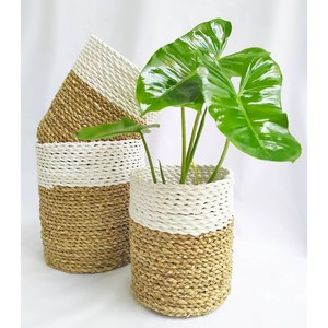 Automne moutarde blanc naturel ventre panier jonc de mer avec poignée décor à la main - Product Image 1