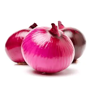 Wholesale Dealer And Supplier Of Fresh Red Onion Importers Fresh Vegetables Onion Wholesale Red Onion With Good Price