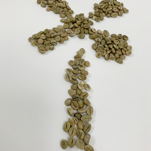 ถั่วเขียวเมล็ดกาแฟอาราบิก้า & โรบัสต้าเวียดนามพืชสดกระบวนการธรรมชาติขายส่ง - Product Image 5