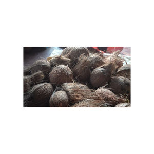 Fibra de Coco Premium para Exportación al por Mayor y Suministro Global - Product Image 2