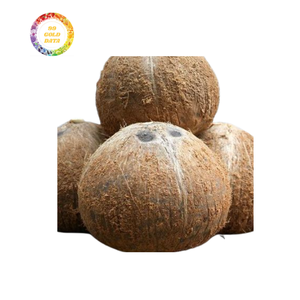 Noix de coco mature en vrac bon marché pour l'exportation avec une teneur élevée en viande et une qualité fiable de la ferme directe - Product Image 5