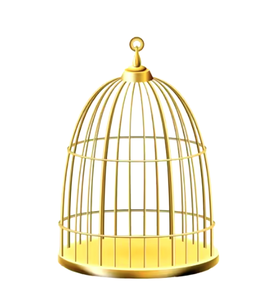 กรงนกทำจากลวดโลหะพรีเมียมสีทองสำหรับใช้เล่นบ้านนกทำจากโลหะคุณภาพสูงสั่งจำนวนมาก - Product Image 4