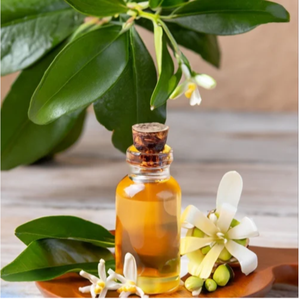 Huile essentielle de copaïba pure biologique Résine distillée à la vapeur - Product Image 4