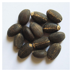เมล็ด jatropha สำหรับหวายและไม้ไผ่ผลไม้แห้งสำหรับหวายสาน - Product Image 6