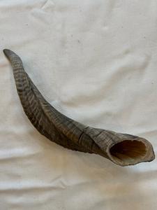 แตรแกะแท้ขัดธรรมชาติสำหรับตกแต่งและงานฝีมือคุณภาพสูง - Product Image 3