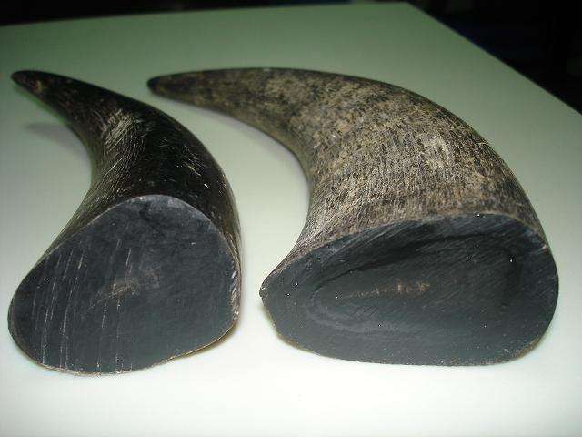 ธรรมชาติ