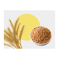 Prix de vente élevé Blé Grains entiers et graines pour l'alimentation humaine ou l'alimentation animale en grains de blé en vrac pour l'alimentation animale