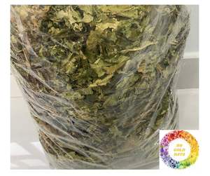 Hojas de papaya secas al mejor precio, Té natural de alta potencia cortado de granjas de Vietnam, hojas de papaya secas puras para té refrescante - Product Image 6