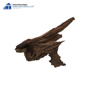 Vente chaude d'aquariums en bois flotté Accessoires d'aquariums écologiques Eau salée pour la décoration d'aquarium d'une usine vietnamienne - Product Image 1