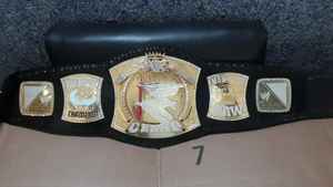 Cinturones de campeonato de lucha libre Trofeos Medallas y premios el símbolo definitivo de Victoria y excelencia Cinturones de Campeonato - Product Image 4