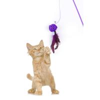 Mainan Kucing Bola Ungu dengan Tongkat Pancing Interaktif, Mainan Gerak Berbulu untuk Hewan Peliharaan, Buatan Turki