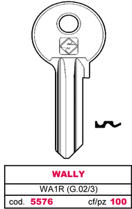 Chiave Asc Wa1r (g.Vac 3) Wally - Product Image 1