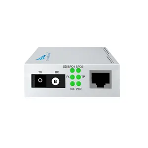 OEM/ODM 2 ports single mode single fiber 100 Mbps Ethernet media converter with optional SC FC ST interface B-end