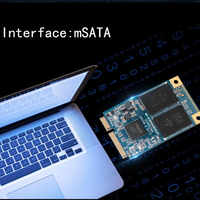 SSD Mini MSATA Kston Harga Kompetitif Dari 64GB hingga 1TB untuk Laptop dan Mesin POS