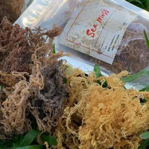 Organic Irish <b>Moss</b> Wholesale OEM Packaging - Product Image 2