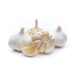 <b>Fresh</b> <b>Garlic</b> US Origin Normal Temperature Storage Ready for Consumption - Product Image 2