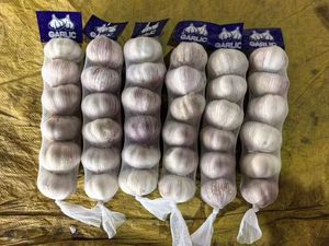 Ajo Fresco Pelado de Shandong, Sinofarm, Almacenamiento en Frío, Nueva Temporada, Venta al por Mayor de Shandong, China - Product Image 3