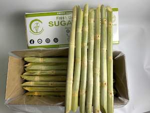 อ้อยแช่แข็งจากเวียดนาม100% ผลไม้หวานธรรมชาติออร์แกนิก - Product Image 4