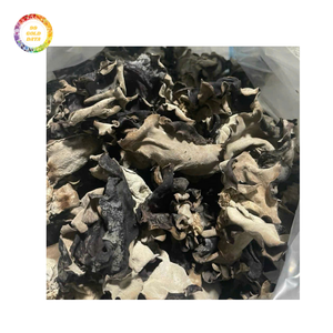 Champignon d'oreille en nuage de haute qualité pour tous les besoins, disponible à un prix abordable auquel vous pouvez faire confiance - Product Image 5