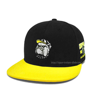 Casquettes Snapback Unisexe à 6 Panneaux à Visière Plate, Logo Brodé Personnalisé, Style Hip Hop, 100% Coton, Fabriquées au Vietnam, Pour l'Extérieur