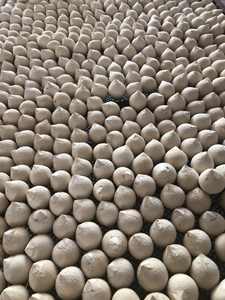 Nouvelle récolte 2026 Noix de coco entière polie Coco Fresco Pulido TINIMEX Origine Ben Tre Durée de conservation de 40 jours pour les importateurs - Product Image 4