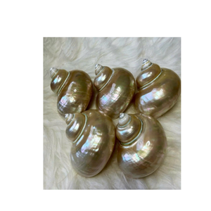 Rond de serviette coquillage Accessoire fait main écologique de Real Shell pour la conception de table rustique du Vietnam - Product Image 6