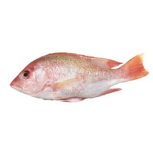 Poisson Rouge Entier Congelé de Haute Qualité, Pur, Biologique, Faible en Glucides, Processus BQF, Pack de 20kg en Gros, Prix de Gros, En Vente - Product Image 3