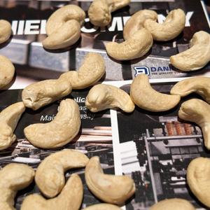 Noix de Cajou Fraîches de Qualité Supérieure du Vietnam Grade W450 avec Certification Biologique USDA/UE pour la Transformation Alimentaire - Product Image 5